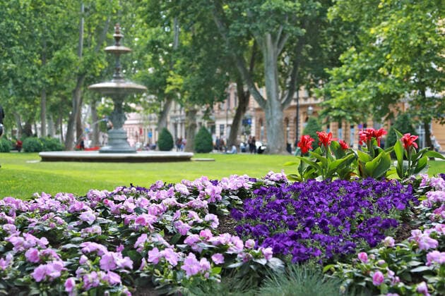 PXL_Flowers 01.06.2020., Zagreb, Croatia - Spring flowers in park Zrinjevac. SanjinxStrukic PIXSELL