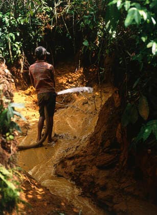 Goldminer jet washing tropical rainforest prior to extracting gold Venezuela Goldminer jet washing tropical rainforest  Copyright: xDavidxWoodfallx ZB799_001_01374