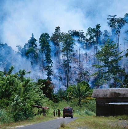 IMAGO Nature: Unsere Erde, Umweltverträgliche Herausforderungen, Regenwald RAINFOREST DESTRUCTION near Manokwari; north west Irian Jaya. Indonesia. RAINFOREST DESTRUCTION  Copyright: xGeraldxCubittx ZB996_GCU000149A