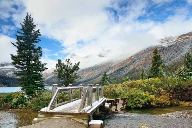 Travel Jasper Bow lake Park Mist with Yoho mountain Forest Lake  268125032970452995