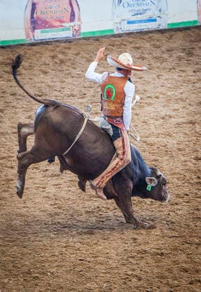 A charreada Mexican rodeo at the Lienzo Charro Zermeno, Guadalajara, Jalisco, Mexico Guadalajara Jalisco Mexico Copyright: xLucasxVallecillosx-xVWPicsx LVM-Mx.Rt.7139
