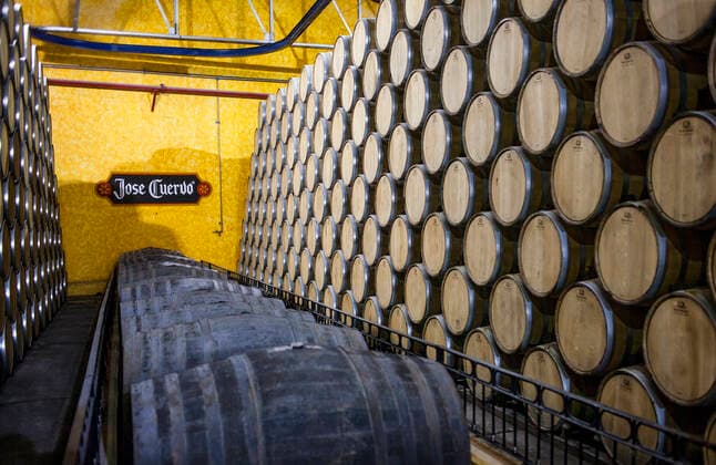 Maturation barrels, Jose cuervo tequila distillery in tequila village, Mexico Tequila Jalisco Mexico Copyright: xLucasxVallecillosx-xVWPicsx LVM-Mx.Rt.7981