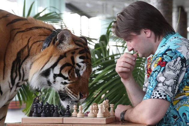 Bilder des Jahres 2020, Entertainment 06 Juni Entertainment Themen der Woche KW25 Entertainment Bilder des Tages MOSCOW, RUSSIA - JUNE 18, 2020: Edgard Zapashny, Head of the Great Moscow State Circus, poses with a tiger in the circus building. Vyacheslav Prokofyev TASS  TS0DD16E