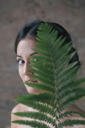 Beautiful young woman hiding behind fern leaves model released Symbolfoto ALBF01237