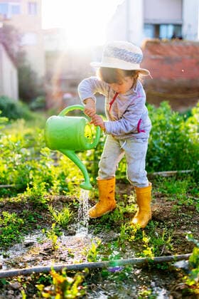 IMAGO Creative: Klimawandel - Umwelterziehung Full length of cute preschool girl watering plants at orchard model released Symbolfoto GEMF03679