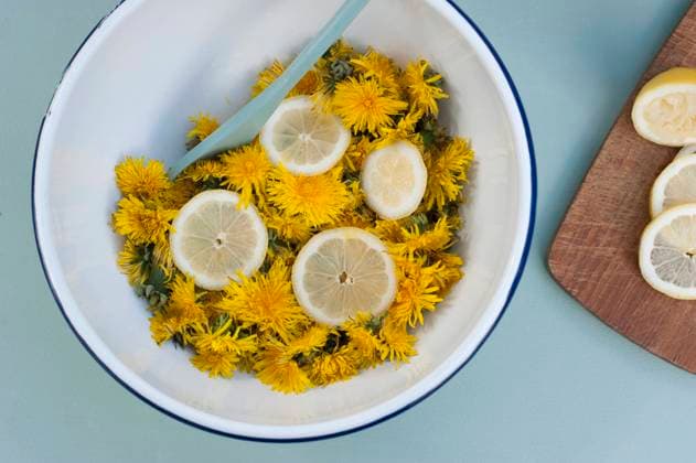 Germany, Bowl of dandelion heads with lemon slices GISF00586