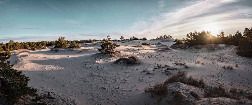 Poland, Pomerania, Leba, Sand dune at Slowinski National Park at sunset HAMF00611