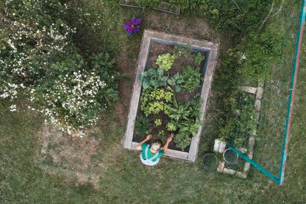IMAGO Creative: Garten, Anbau im Hochbeet Drone shot of mid adult woman planting vegetables in raised bed at yard model released Symbolfoto property released HMEF00948