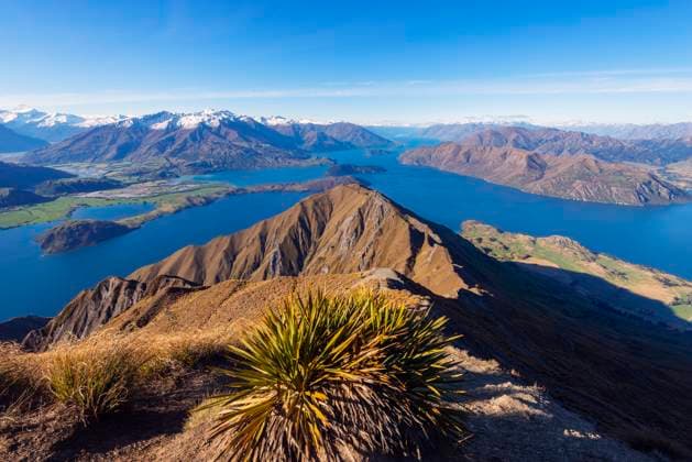 New Zealand, Otago, Mountaintop bush with Lake Wanaka and surrounding mountains in background RUEF02885