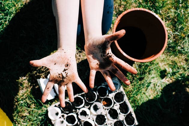 IMAGO Creative: Klimawandel - Umwelterziehung Childs dirty hands from planting seeds in egg shells outside Norrtälje, Stockholm County, Sweden CR_RABE200604-391561-01 ,model released, Symbolfoto