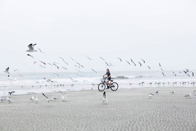 Creative Highlights Symbolfotos teen girl biking on sandy beach by the ocean, St. Simon s Island, Georgia St Simon s Island,USA,teen girl biking on sandy beach by the ocean, St. Simon s Island, Georgia  teen girl biking on sandy beach by the ocean, St. Simon s Island, Georgia