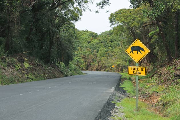 Hinweisschild mit Tapir, Costa Rica, Los Quetzales Nationalpark information sign with tapir, Costa Rica, Los Quetzales National Park BLWS621245 *** sign with tapir, Costa Rica, Los Quetzales National Park information sign with tapir, Costa Rica, Los Quetzales National Park BLWS621245 Copyright: xblickwinkel M.xWoikex