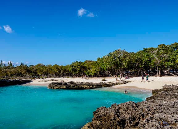 Smith Cove Beach, George Town, Grand Cayman, Cayman Islands, Caribbean, Central America Copyright: KarolxKozlowski 1245-1950