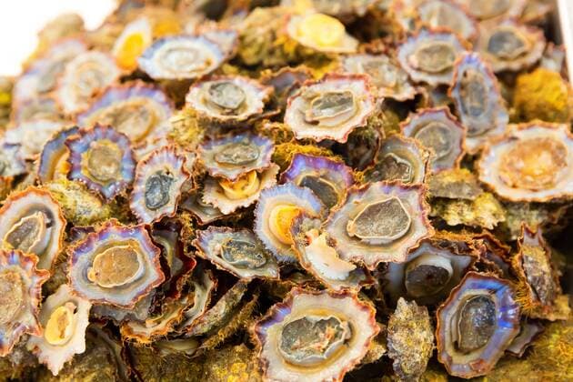 Open mussels Copyright: xNomadSoulx Panthermedia28089025