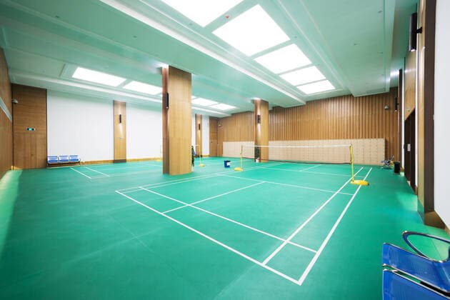 IMAGO Creative: Klub-Sport Bright Badminton Court  379805598727536643