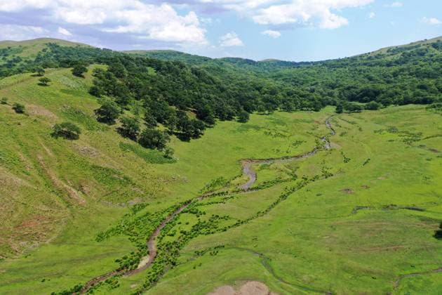 IMAGO Nature: Unsere Erde, Naturschutz, Naturschutzgebiete in Asien PRIMORYE TERRITORY, RUSSIA â€“ JULY 8, 2020: A panoramic view of the Gamovsky cluster area at the Land of the Leopard National Park. The national park covers an area of some 2800 sq km. The park was established in the 2010s to protect the Amur leopard, a critically endangered subspecies of leopard, which inhabits a small area on the Russian-Chinese border. Yuri Smityuk TASS  TS0DF839