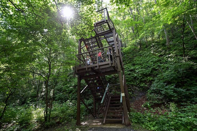 IMAGO Nature: Unsere Erde, Naturschutz, Naturschutzgebiete in Asien PRIMORYE TERRITORY, RUSSIA â€“ JULY 8, 2020: Tourists take a nature walk at the Land of the Leopard National Park. The national park covers an area of some 2800 sq km. The park was established in the 2010s to protect the Amur leopard, a critically endangered subspecies of leopard, which inhabits a small area on the Russian-Chinese border. Yuri Smityuk TASS  TS0DF856