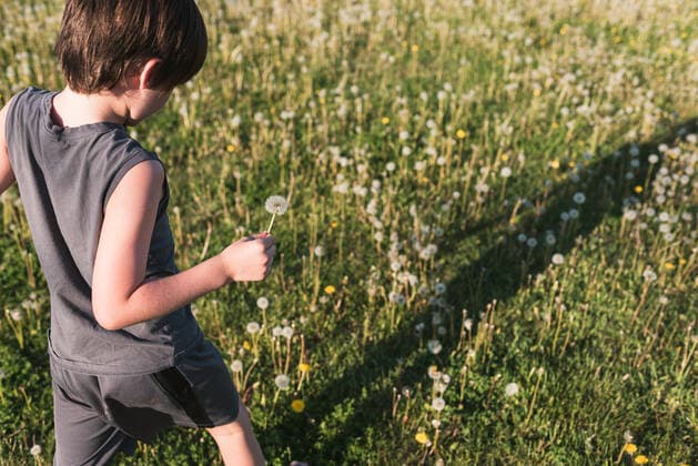 IMAGO Creative, Ostern, Bräuche, Osterspaziergang Boy walking through grassy field full of dandelions on summer day. Kingston, ON, Canada CR_DOHO200701P-416018-01 ,model released, Symbolfoto