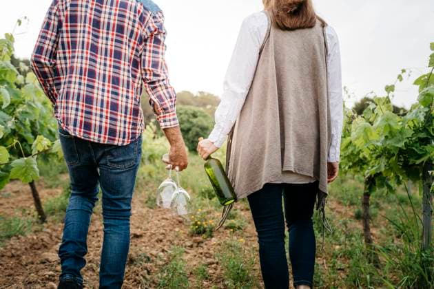 IMAGO Creative, Sommer, Weinfeste und Weinwanderungen Couple holding wineglasses and wine bottle while walking at vineyard model released Symbolfoto JRFF04478