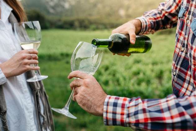 IMAGO Creative, Sommer, Weinfeste und Weinwanderungen Man serving white wine in glass while standing with woman at vineyard model released Symbolfoto JRFF04491