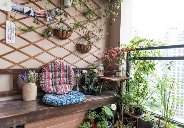Balcony garden with seating plant view  507057637095505935