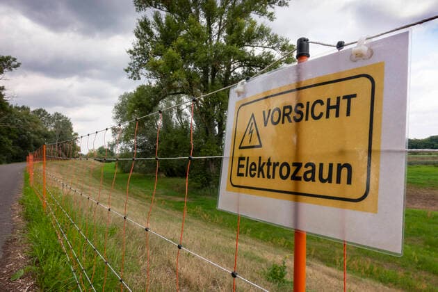 Ein elektrischer Wildschutzzaum entlang der polnischen Grenze, auf dem Foto nördlich von Frankfurt (Oder) soll das Einschleppen der Afrikanischen Schweinepest (ASP) nach Deutschland verhindern. Mit dem Zaun soll der Wechsel von Wildschweinen von Polen über die Oder nach Deutschland verhindert werden. ASP ist bis auf etwa 20 Kilometer an die brandenburgisch-polnische Grenze vorgerückt. Foto: Volker Hohlfeld Gegen Schweinepest *** An electric wildlife fence along the Polish border, in the photo north of Frankfurt Oder, is to prevent the introduction of African swine fever ASP to Germany The fence is to prevent the movement of wild boars from Poland across the Oder to Germany ASP has advanced to about 20 kilometres to the Brandenburg-Polish