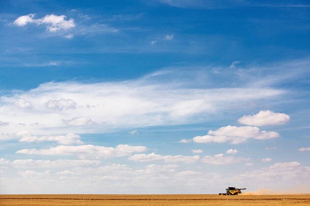 News Bilder des Tages Erfurt , 29.07.2020 , Weizenernte auf einem Feld bei Frienstedt Im Bild: Weizenernte mit einem Mähdrescher New Holland CR 10.90