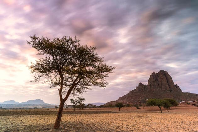 Lone trees at sunset, Gheralta Mountains, Hawzen, Tigray Region, Ethiopia, Africa Copyright: RobertoxMoiola 1179-4485