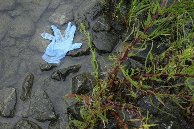 Umweltverschmutzung Umweltverschmutzung, 03.08.2020, Greifswald, Greifswalder Bodden, Mecklenburg-Vorpommern, Im Wasser schwimmt ein weggeworfener Schutzhandschuh.