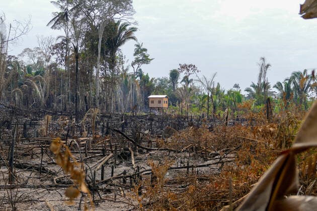 News Bilder des Tages LÁBREA, AM - 07.08.2020: QUEIMADA E DESMATAMENTO TRANSAMAZÔNICA AM - Burning and deforestation in the trans-Amazon region, between the municipality of Humaitá and Lábrea, in the south of Amazonas, this Friday morning (7). x1947206x  SandroxPereira