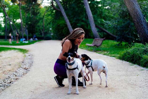 IMAGO Creative, Lifestyle, Frühling in der Stadt woman with braids playing with her dogs in the park Madrid, Community of Madrid, Spain CR_IVAR200804B-465437-01 ,model released, Symbolfoto