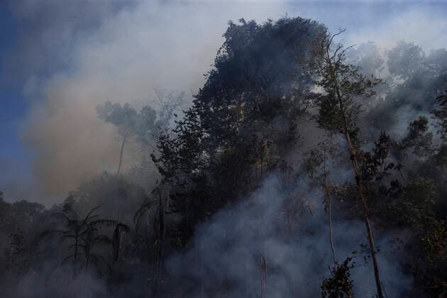 IMAGO Nature: Unsere Erde, Umweltverträgliche Herausforderungen, Regenwald August 15, 2020, Novo Progresso, Paro, BRAZIL: Smoke arises between trees in a burnt area in the Amazon rainforest, in the municipality of Novo Progresso, in the state of ParoÂ¡, on Saturday, August 15. In July, the federal government issued a decree banning burning throughout Brazil for 120 days. The veto comes amid pressure from national and international investors due to the country s negative image abroad caused by environmental management and increased deforestation. Novo Progresso BRAZIL - ZUMAs255 20200815_zip_s255_013 Copyright: xFernandoxSouzax