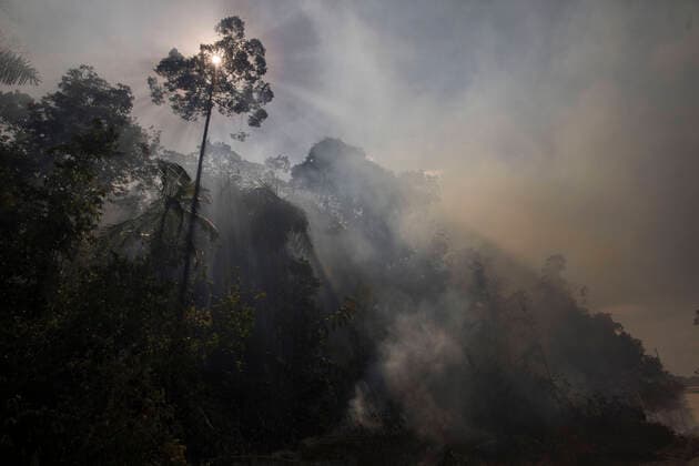 IMAGO Nature: Unsere Erde, Umweltverträgliche Herausforderungen, Regenwald August 15, 2020, Novo Progresso, Paro, BRAZIL: Smoke arises between trees in a burnt area in the Amazon rainforest, in the municipality of Novo Progresso, in the state of ParoÂ¡, on Saturday, August 15. In July, the federal government issued a decree banning burning throughout Brazil for 120 days. The veto comes amid pressure from national and international investors due to the country s negative image abroad caused by environmental management and increased deforestation. Novo Progresso BRAZIL - ZUMAs255 20200815_zip_s255_022 Copyright: xFernandoxSouzax