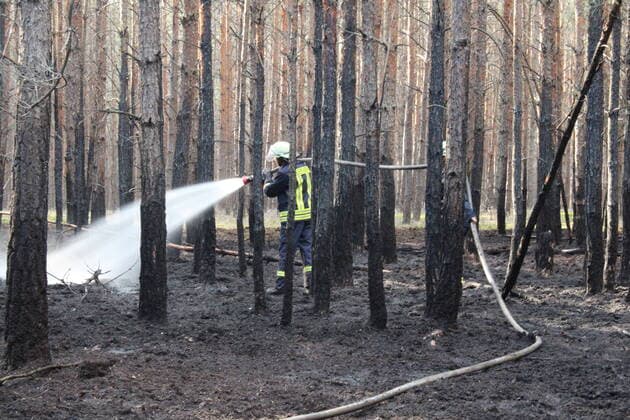 News Bilder des Tages Simmersdorf - Feuerwehr rückt zu Waldbrand aus 17.08.2020, 15:41 Uhr K7109 Simmersdorf-Jethe Fotograf: LausitzNews.de Toni Aderhold Am Montagnachmittag rückte die Feuerwehr zwischen Jethe und Simmersdorf zu einem Waldbrand aus. Auf einer Fläche von 500 Quadratmetern brannte der Walboden und die Nadelbäume. Die Feuerwehren aus dem Amt Döbern-Land und Neuhausen waren mit rund 30 Einsatzkräften vor Ort und löschten den Brand. Die Polizei hat die Ermittlungen zur Brandursache aufgenommen, bisher kann noch nichts ausgeschlossen werden. Simmersdorf Brandenburg Deutschland Copyright: xLausitzNews.de xTonixAderholdx