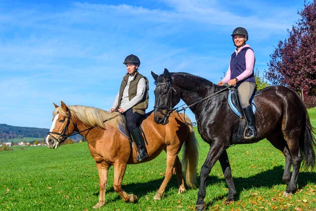 Ausritt im Allgäu Zwei Reiterinnen beim mal entspannten, mal sportlichen Ausritt in das herbstliche Allgäu nahe Sulzberg im Allgäuer Seenland. entspannte Tour auf dem Pferd Kempten Sulzberg Bayern Deutschland *** Riding in the Allgäu Two female riders on a sometimes relaxed, sometimes sporty ride in the autumnal Allgäu near Sulzberg in the Allgäu Lakeland Relaxed tour on horseback Kempten Sulzberg Bavaria Germany
