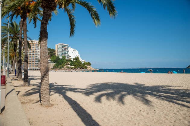 Bilder des Jahres 2020, News 08 August News Themen der Woche KW35 News Bilder des Tages 20200824 Mallorca after travel warning CAMPOS, SPAIN - AUGUST 24 2020 : Magaluf without tourists in high season at - Mallorca after travel warning on August 24, 2020 in Campos, . Campos Baleares Spain *** 20200824 Mallorca after travel warning CAMPOS, SPAIN AUGUST 24 2020 Magaluf without tourists in high season at Mallorca after travel warning on August 24, 2020 in Campos, Campos Baleares Spain