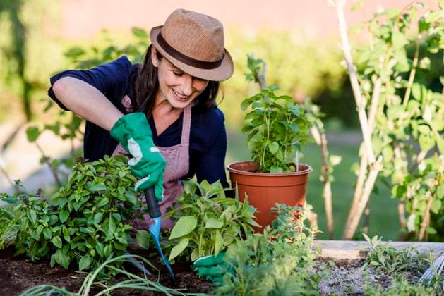 IMAGO Creative, Jahreszeit Sommer, Sonnenschutz Frau bei Gartenarbeit am Hochbeet, Deutschland, Europa *** Woman doing gardening on a raised bed, Germany, Europe Copyright: imageBROKER/MichaelaxBegsteiger ibxbeg05786545.jpg
