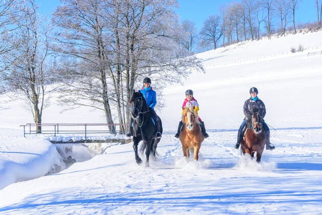 Ausreiten im winterlichen Allgäu Ausritt im verschneiten Oberallgäu nahe Sulzberg an einem eisig kalten Januarmorgen. Drei Amazonen genießen die herrliche Natur hoch zu Roß. Reiten im Winter Sulzberg Bayern Deutschland *** Riding out in the wintery Allgäu Riding out in the snowy Oberallgäu near Sulzberg on an icy cold January morning Three Amazons enjoy the wonderful nature high on horseback Riding in winter Sulzberg Bavaria Germany
