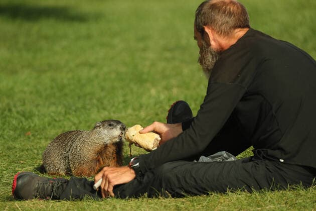 August 28, 2020, Toronto, Ontario, Canada: A homeless man named Steve shares his breakfast - a roast beef sandwich - with a large woodchuck (marmota monax) at humber bay park in west Toronto. Toronto Canada - ZUMAs109 20200828_zaf_s109_014 Copyright: xChristopherxDrostx