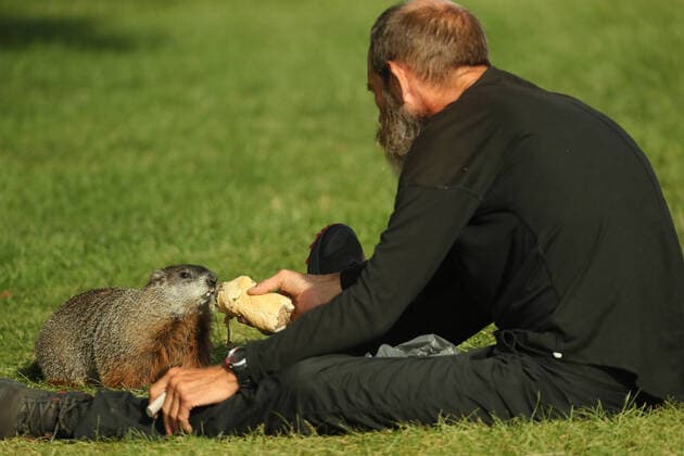 August 28, 2020, Toronto, Ontario, Canada: A homeless man named Steve shares his breakfast - a roast beef sandwich - with a large woodchuck (marmota monax) at humber bay park in west Toronto. Toronto Canada - ZUMAs109 20200828_zaf_s109_040 Copyright: xChristopherxDrostx