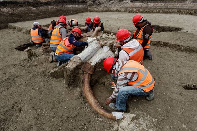 Specialists from the National Institute of Anthropology and History (INAH) work at the site where a significant number of Mamut remains were found, in the area where the Felipe Angeles Airport is being built, in the municipality of Zumpango, in the State of Mexico, Mexico, 27 August 2020 (issued 29 august 2020). The almost 200 discovery points where dozens of mammoth, camel, horse and bison skeletons have been found in the future airport of Mexico City, account for the most important paleontological discovery in Latin America by concentration of individuals. New Mexican airport exhibits most important paleontological find in Latin America !ACHTUNG: NUR REDAKTIONELLE NUTZUNG!  Copyright: xJosexMendezx AME1320 20200829-637343187035062524