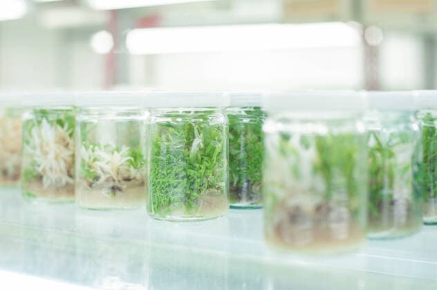 IMAGO Creative: Corporate: Klimaschutz, Digitalisierung und Urbanisierung IMAGO Creative: Klimawandel - Zukunft und Innovation The culture bottle in the agricultural science lab.  694704775437352986