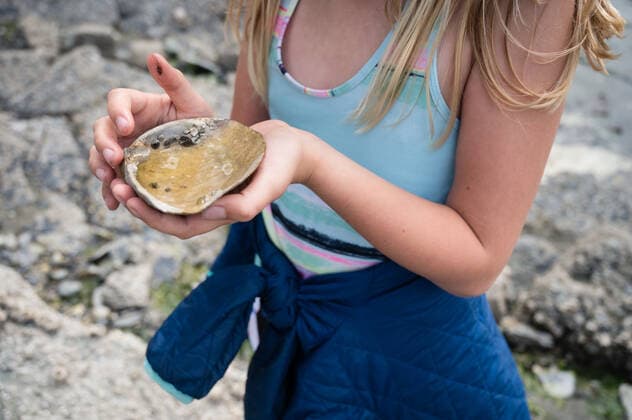 IMAGO Creative: UN Welt-Habitat-Tag am 3. Oktober Young Girl On Lopez Island Beach Holding Large Shell United States, Washington, Lopez Island CR_ERWA200901-292561-01 ,model released, Symbolfoto