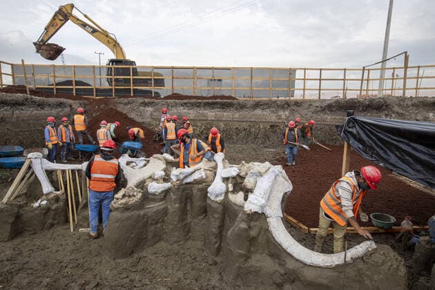 (200911) -- MEXICO CITY, Sept. 11, 2020 -- Archeologists excavate bones of mammoth skeletons found at the construction site of the new Felipe Angeles International Airport in Mexico City, Mexico, Sept. 10, 2020. (Photo by Ricardo Flores Xinhua) MEXICO-MEXICO CITY-MAMMOTH SKELETONS-DISCOVERY XinxYuewei 
