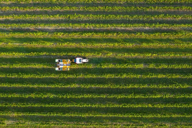 Donnerskirchen THEMENBILD - Traubenvollernter im Einsatz bei der Weinlese in Donnerskirchen am Mittwoch 16. September 2020 Grape harvesters in action during the grape harvest in Donnerskirchen on Wednesday September 16, 2020. **** ONLY GER;FRA;ITA;ESP;SUISSE;GBR **** *** Donnerskirchen THEMENBILD Grape harvesters in action during the grape harvest in Donnerskirchen on Wednesday 16 September 2020 Grape harvesters in action during the grape harvest in Donnerskirchen on Wednesday September 16, 2020 ONLY GER FRA ITA ESP SUISSE GBR  EP_gro 
