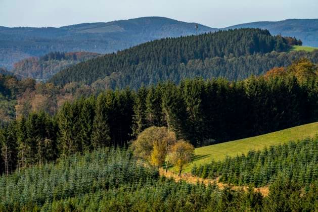 Nutzwald, Landschaft im Sauerland, Hochsauerlandkreis, NRW, Deutschland Hochsauerlandkreis