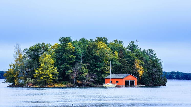 Natural scenery in late autumn in Montreal, Canada  804968981200896067