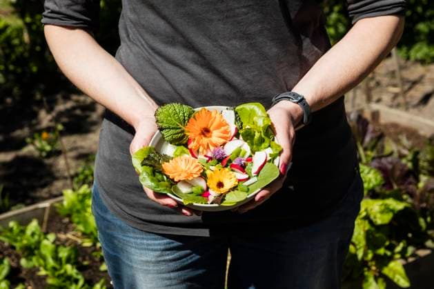 Close-up of woman holding plate with lettuce and edible flowers model released Symbolfoto EVGF03729