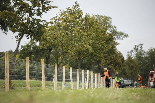 Zaunbaumassnahmen in Vogelsang im Landkreis Oder-Spree. Mit dem Bau des Zauns wird versucht eine weitere Ausbreitung der Afrikanischen Schweinepest ( ASP ) an der Grenze zwischen Deutschland und Polen zu verhindern. Vogelsang, 08.10.2020. Vogelsang Germany *** Fence construction measures in Vogelsang in the Oder Spree district The construction of the fence is an attempt to prevent the further spread of African swine fever ASP on the border between Germany and Poland Vogelsang, 08 10 2020 Vogelsang Germany Copyright: xThomasxTrutschelx