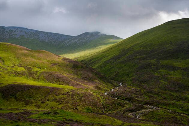 Green hilly landscape of Cairngorms National Park ELF02184